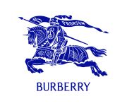 burberry wikipedia pl|facts about burberry.